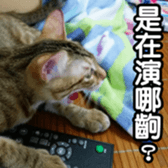 Alpah&Gamma-First sticker #13952015