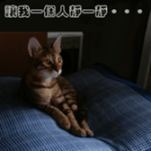 Alpah&Gamma-First sticker #13952017