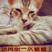 Alpah&Gamma-First sticker #13952021