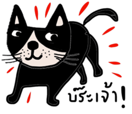 Meawmeaw ; Black cat sticker #13954023