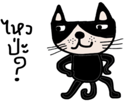Meawmeaw ; Black cat sticker #13954028