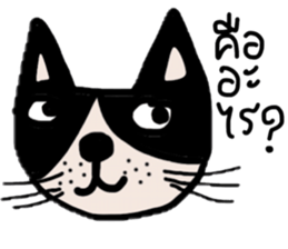 Meawmeaw ; Black cat sticker #13954032