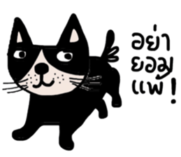 Meawmeaw ; Black cat sticker #13954045