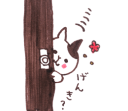 BigCatchCats sticker #13954247