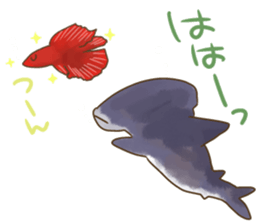 taso animal2 sticker #13954254