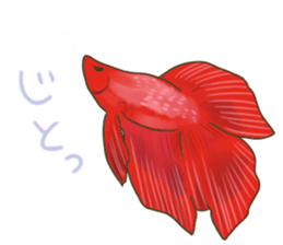 taso animal2 sticker #13954263