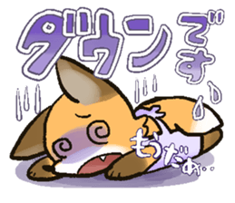 Newlyweds!/shin con san! sticker #13954814