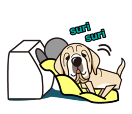 iinu - Spanish Mastiff sticker #13954834