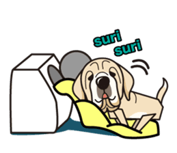 iinu - Spanish Mastiff sticker #13954834