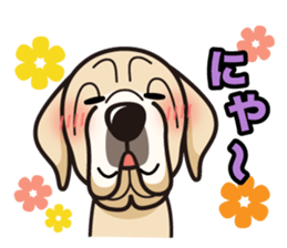 iinu - Spanish Mastiff sticker #13954835