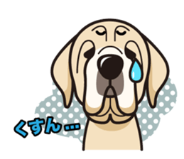 iinu - Spanish Mastiff sticker #13954837