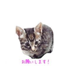 Mame and Lulu sticker #13957662