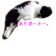 Mame and Lulu sticker #13957663