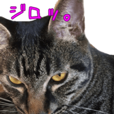 Mame and Lulu sticker #13957664