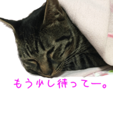 Mame and Lulu sticker #13957665