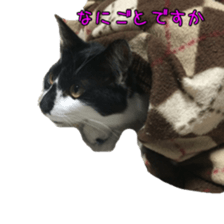 Mame and Lulu sticker #13957666