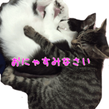 Mame and Lulu sticker #13957667