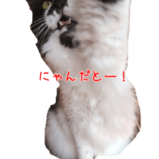 Mame and Lulu sticker #13957668