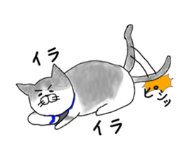 The cat is KOTETU sticker #13960931