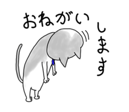 The cat is KOTETU sticker #13960949