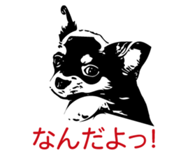 Feeling of Chihuahua! sticker #13962144