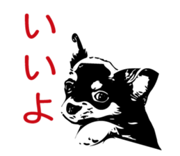 Feeling of Chihuahua! sticker #13962146