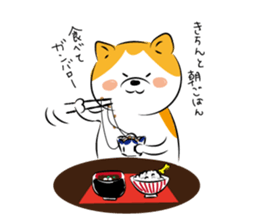 Shibachacha sticker #13962511