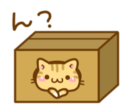 Necoco5 sticker #13963402