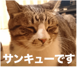 SHIMA KOBAYASHI of the third episode sticker #13963439