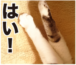 SHIMA KOBAYASHI of the third episode sticker #13963440