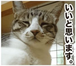 SHIMA KOBAYASHI of the third episode sticker #13963441