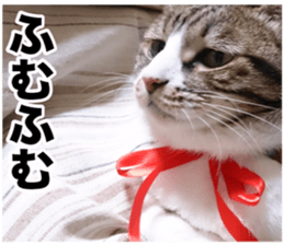 SHIMA KOBAYASHI of the third episode sticker #13963442