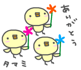 "TAMAMI" only name sticker sticker #13963466