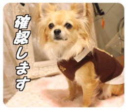 Airu&Mirumo sticker #13964183