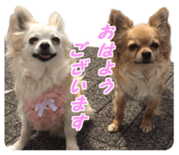 Airu&Mirumo sticker #13964184