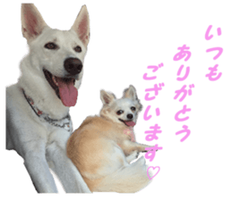 Airu&Mirumo sticker #13964186