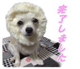 Airu&Mirumo sticker #13964188