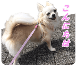 Airu&Mirumo sticker #13964189