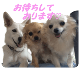 Airu&Mirumo sticker #13964194