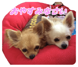 Airu&Mirumo sticker #13964195