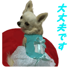 Airu&Mirumo sticker #13964196