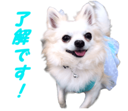 Airu&Mirumo sticker #13964197