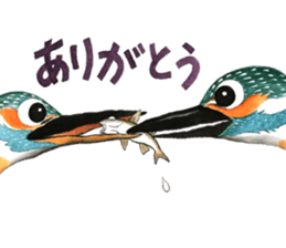 Kingfisher 2 sticker #13964288