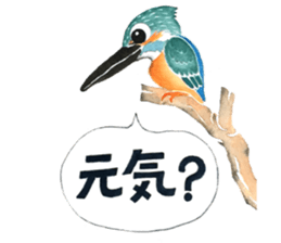 Kingfisher 2 sticker #13964289