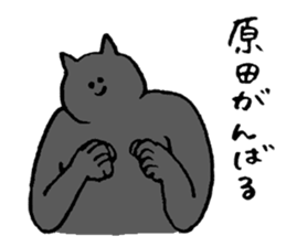 Cat's name is Harada sticker #13964493