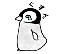 Penguin penPenguin 1 sticker #13964883