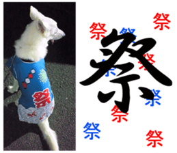 THE White Shepherd Dog! No,1 (P) sticker #13967629