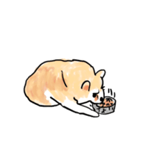 Clever Choito got old sticker #13968004