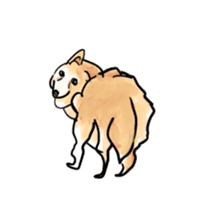 Clever Choito got old sticker #13968022