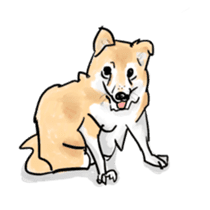 Clever Choito got old sticker #13968024